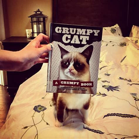 Grumpy Cat Doesnt Like Bookfacefriday Bookface Grumpycat Grumpy