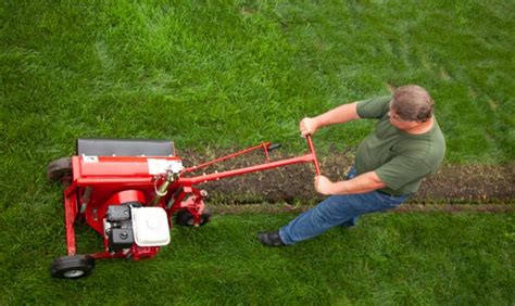 Hand Held Trencher For Rent Everything You Need To Know Gardentools