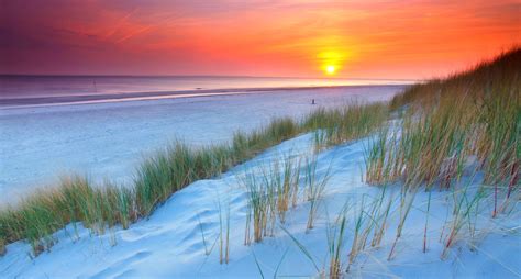 Nature Landscape Sunset Netherlands Beach Sand Dune Sea Grass