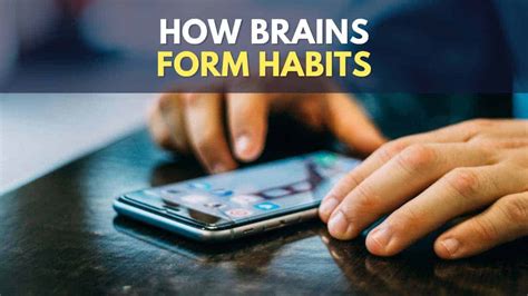 How Are Habits Made In The Brain 3 Rs Of Habit Formation