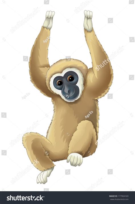 Cartoon Animal Gibbon Illustration Children Stock Illustration 177904169
