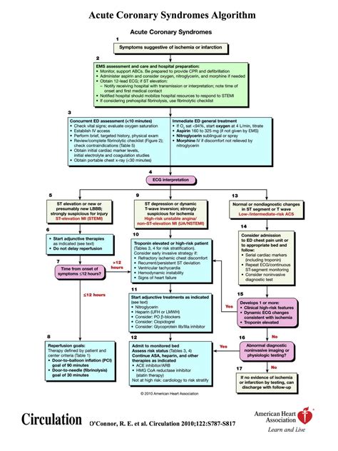 Acls Algorithms Free Printable Pdf Hot Sex Picture