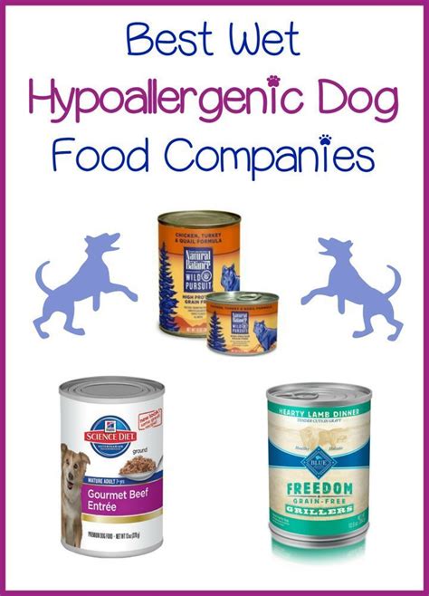 3 Best Wet Hypoallergenic Dog Food Companies Hypoallergenic Dog Food