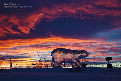 A Statue Of A Polar Bear In The Snow At Sunset With Clouds And Trees