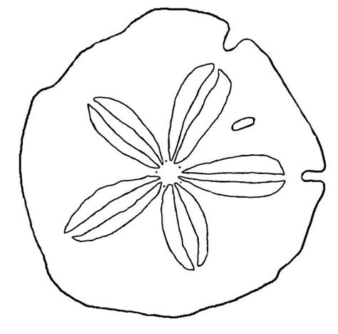 Sand Dollar Coloring Page Seashells By Millhill