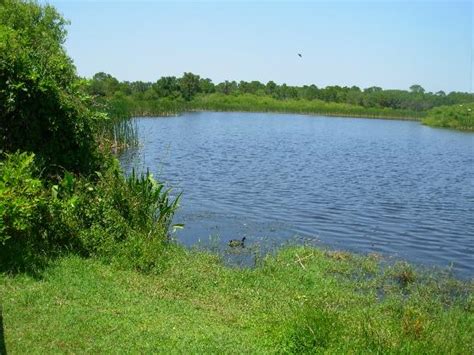 Alligator Lake Picture Of St Andrews State Park Panama City