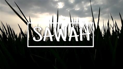 Sawah Cinematic Video Youtube