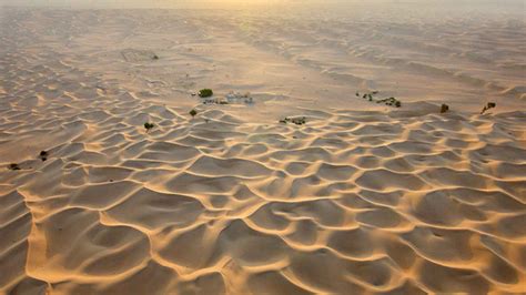 Dubai Desert Conservation Reserve Dubai Book Tickets And Tours