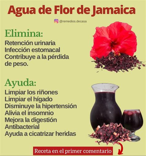 Agua De Flor De Jamaica Beneficios Para Tu Salud Y C Mo Prepararla