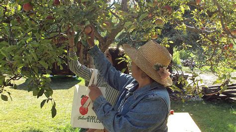 Rileys Apple Farm Attractions In Oak Glen Los Angeles