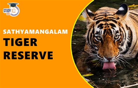Sathyamangalam Tiger Reserve Map Flora Fauna Significance