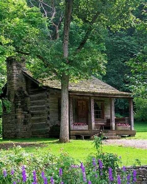 In the shade of the tree of life that it may ever stand; Lynda Lambert | Little cabin, Cabin living, Cabin