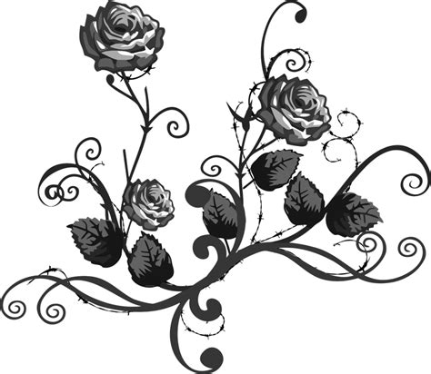 Bingkai Bunga Mawar Hitam Vektor Bunga Png Hitam Putih Imagesee