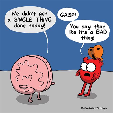 corazon vs cerebro sentimientos frases divertidas