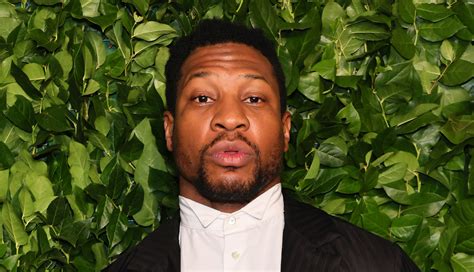 Jonathan Majors Attorney Claims He Was The One Assaulted While