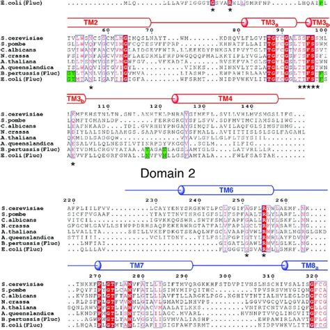 Alignment Of Protein Sequences From Six Eukaryotic And Two Bacterial