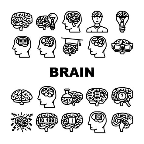 Cerebro Mente Cabeza Humana Iconos Conjunto Vector Inteligencia Idea