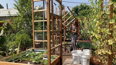 Building A Large Trellis To Grow Melons Vertically Youtube