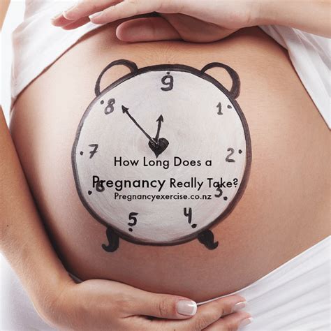 How Long Does A Pregnancy Really Take Pregnancy Exercise