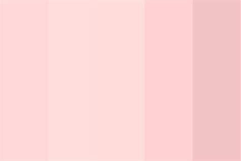 Warm Pink Aesthetic Color Palette