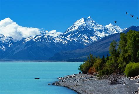 Visit us to find out how to apply for a visa, to visit, study, work or live in new zealand. Becas Para Colombianos | Nueva Zelanda: Becas Para ...