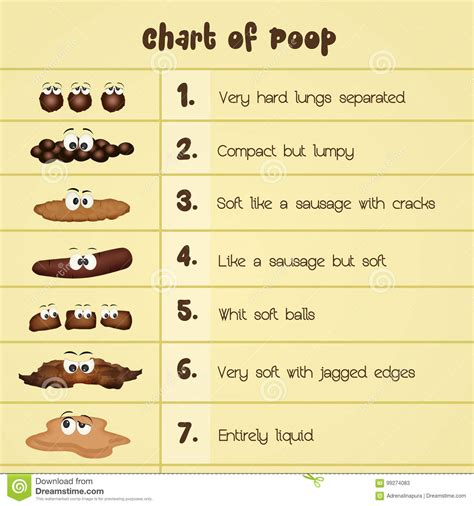 Yes, most types of standing chairs and stools lean towards more expensive tags than ordinary chairs and stools, but this investment will pay off very quickly, and you will save on going to masseurs and doctors. Various types of stools stock illustration. Illustration ...