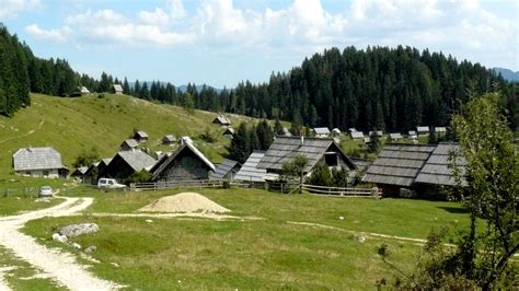 The pokljuka plateau (pronounced pɔˈkljuːka) is a forested karst plateau at an elevation of around 1,100 to 1,400 metres (3,600 to 4,600 ft), located in the julian alps in northwestern slovenia. Visit And Explore The Pokljuka Plateau In Slovenia