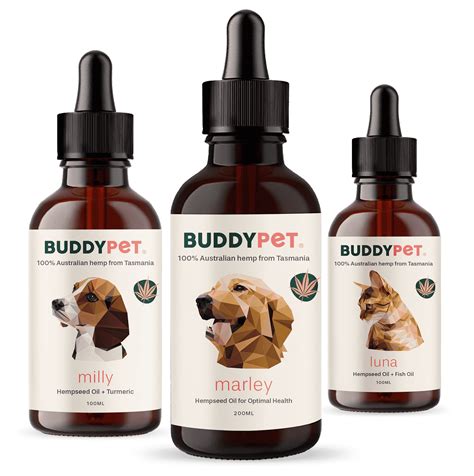 separation anxiety: tips for pet parents with clingy dogs - Buddy Pet