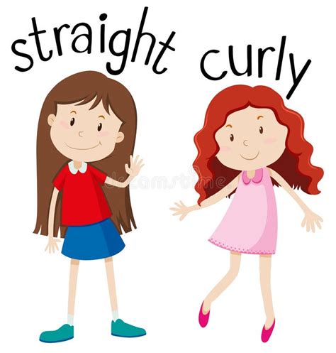 Opposite Wordcard For Straight And Curly Stock Vector Illustration Of