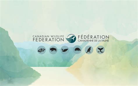 Canadian Wildlife Federation Fédération Canadienne De La Faune Linkedin