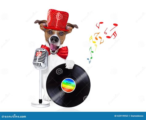 Dog Singing With Microphone Stock Photo Image Of Puppy Animal 65919950