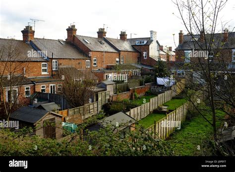 Back Gardens Of Victorian Terraced Houses In Uk Stock Photo Alamy