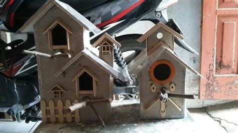 Untuk dapat memelihara dan melatih burung dengan baik, diperlukan pengetahuan dan juga dimulai dari memelihara burung peliharaan yang mudah jenis burung peliharaan yang cocok untuk pemula. Pin oleh Green Bird Farm And Aviary di Rumah Burung ...