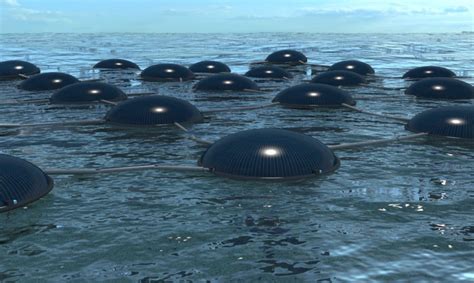 Floating Marine Solar Cells Harvest Energy From The Sun And Waves