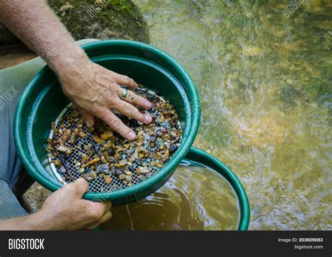 Gold Panning Gem Image And Photo Free Trial Bigstock
