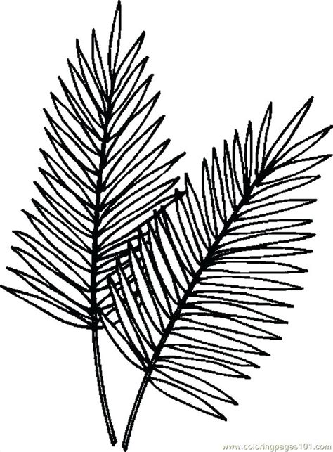 Leaf pattern tree arecaceae paper palm. Tropical Leaves Coloring Pages at GetColorings.com | Free ...