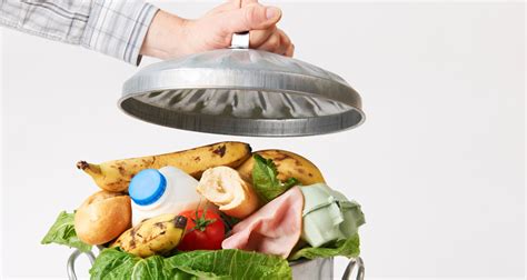 Que Comida Nunca Vai Se Deteriorar