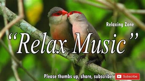 1 Hour Birds Relax Music For Sleep Meditation Music Hd Youtube
