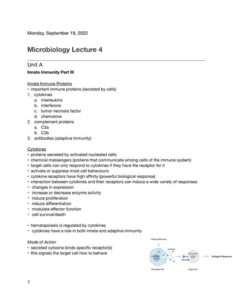 Microbiology Lecture 4 Monday September 19 2022 Microbiology