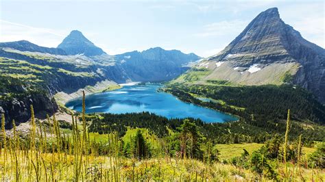 Glacier National Park And The Canadian Rockies Platinum
