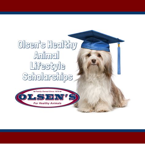 Olsen's Grain_Healthy Animal Lifestyles Scholarship ...