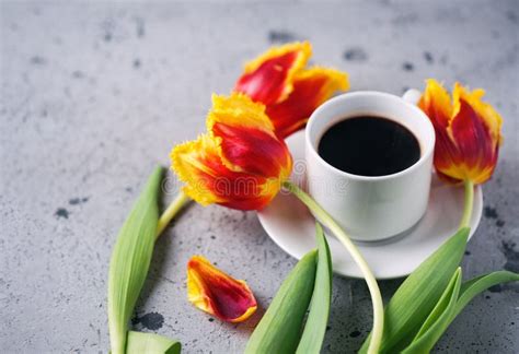 Good Morning A Cup Of Hot Espresso Coffee Tulip Flowers On A Stone