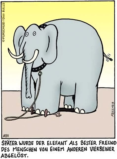 pin von schnabelschnecker auf perscheid witzig lustig elefant