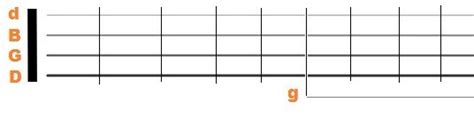 Easy Five String Banjo Chords All Beginners Should Learn Stringvibe