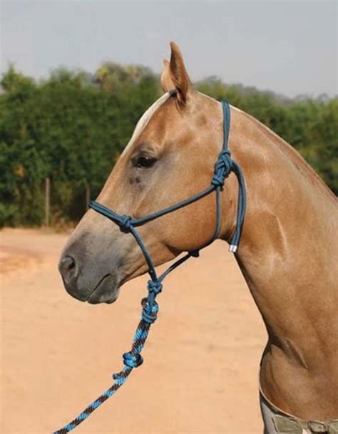 Pro Choice Rope Halter 10 Ft Lead Horse Halter And Leads