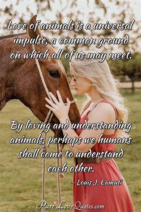 Animal Love Quotes Purelovequotes