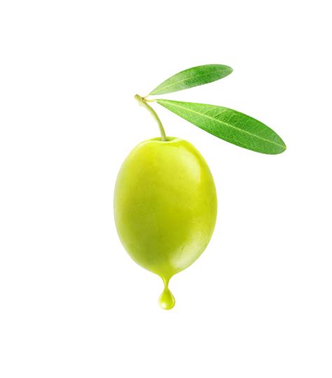 Olives Png Image Purepng Free Transparent Cc0 Png Image Library