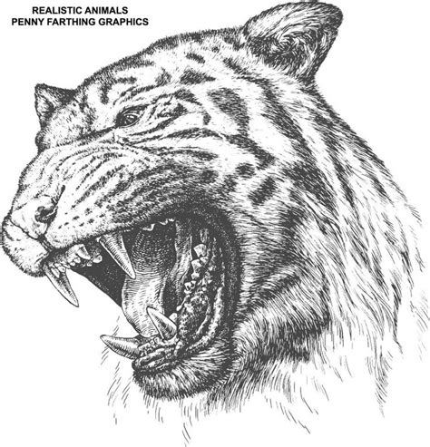 Download 6,422 camouflage tiger stock illustrations, vectors & clipart for free or amazingly low rates! Tiger coloring page | Animal tattoo, Coloring pages, Animals