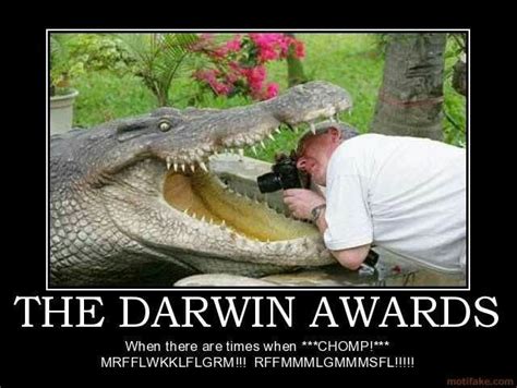 Pin By Gernb On Darwin Awards American Funny Videos Animated Movies