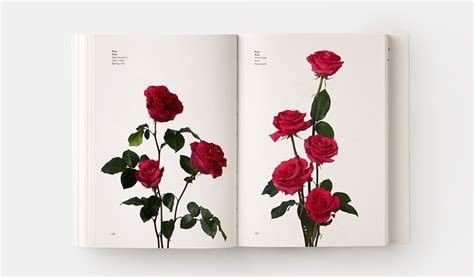 The book, which is 5 by 7 inches, is designed to be portable, containing 400 varieties of flowers, with each bloom given its own page. Flower Color Guide | Design | Phaidon Store